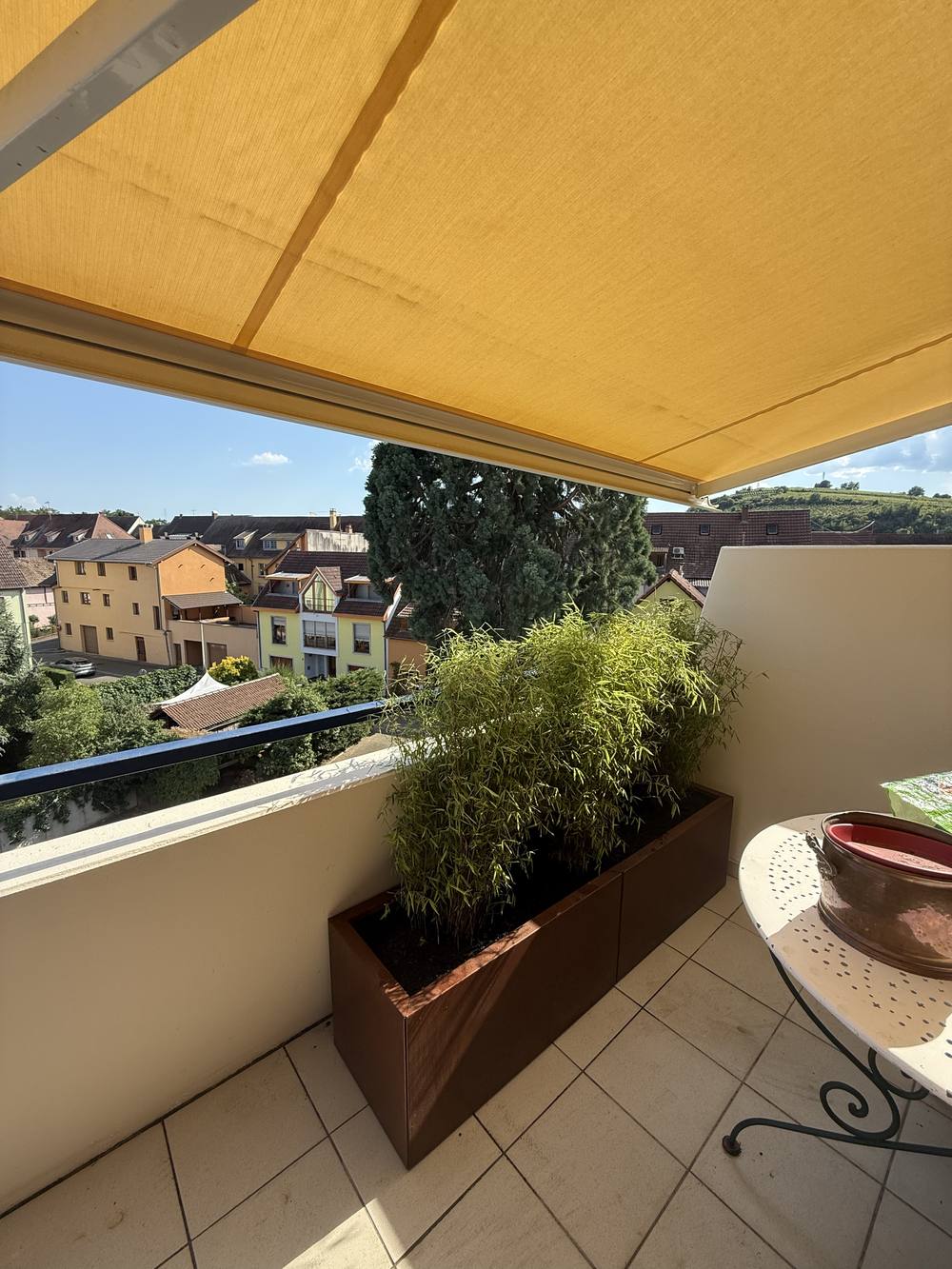 Bambous en bac sur une terrasse surplombant le village