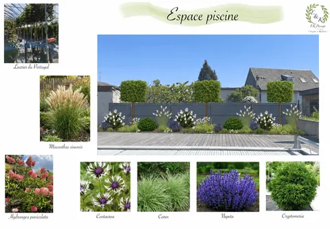 Planche de conception « Espace piscine »